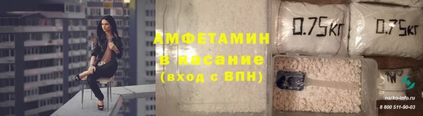 прущие грибы Алзамай
