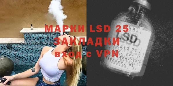 прущие грибы Алзамай