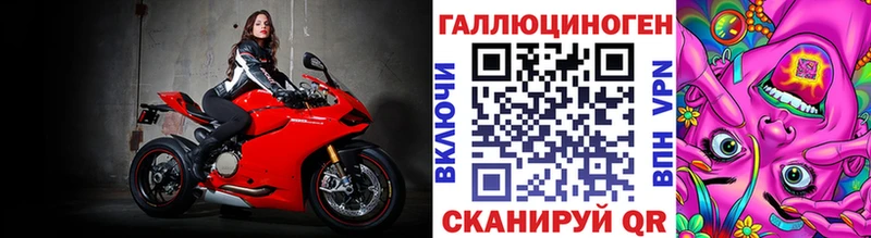 Галлюциногенные грибы Psilocybe  Чернушка 